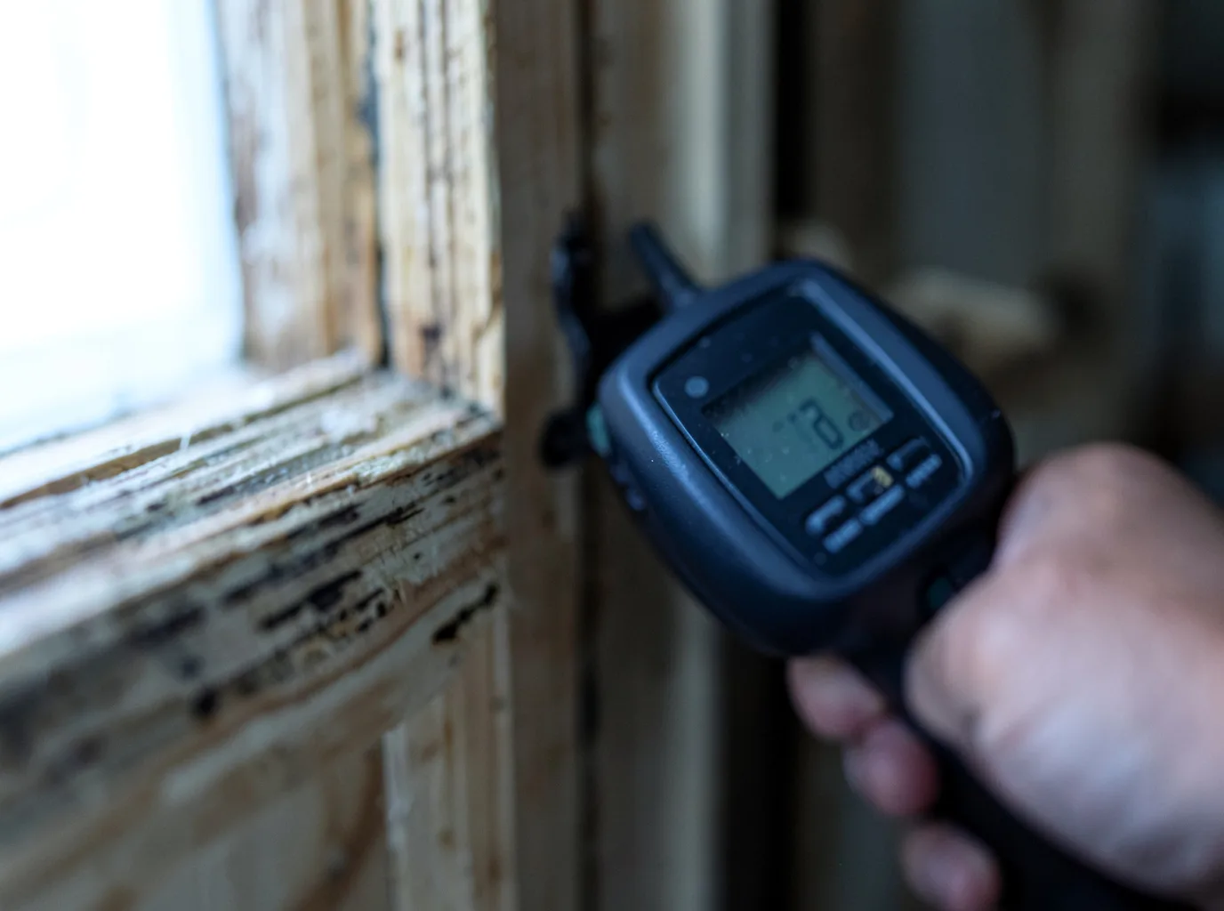 Water Damage Restoration Langston, AL FAQs